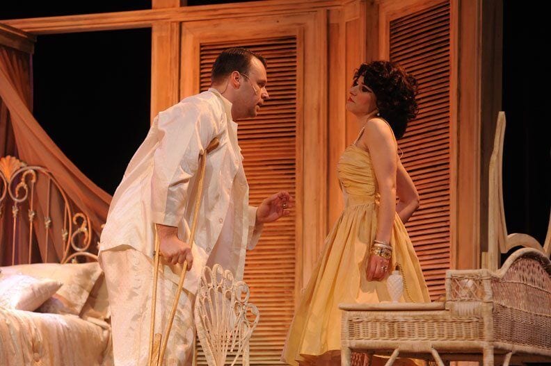 Cat On A Hot Tin Roof