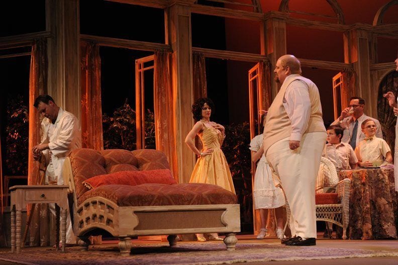 Cat On A Hot Tin Roof