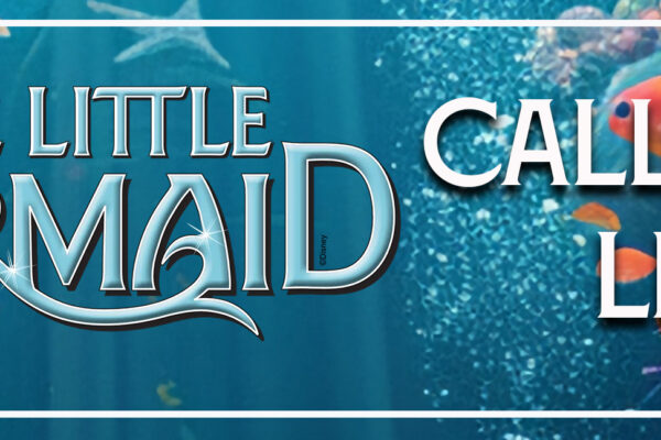 LittleMermaid_Callbacks